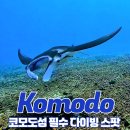 인도네시아 발리 코모도섬 다이빙 여행 가는방법 특징 필수 스팟 BIG 5 정보 추천 관광지 여행팁