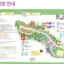 종합운동장 족구장 | 광명 도덕산캠핑장 아이들과 가을에 가기 딱 좋았던 오토캠핑 후기