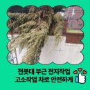 한국전력공사 담장 | 전봇대 부근 전지작업 고소작업 차로 안전하게