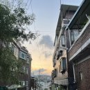 오니올리
