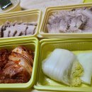 살롱스캣