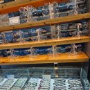 안경공장직영점 이미지