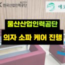 에코클린 침대소파카페트 울산본점 이미지