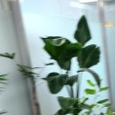 법무법인대인분사무소 - 서초구 서초대로50길 82 | 법무법인대인분사무소