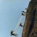 참배나무골 이미지