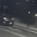 강남-150 이미지