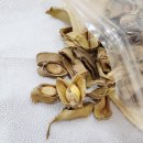 차정농장 이미지