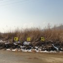 신월동133 이미지