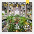 남청주IC(서울) | 청주카페 대형 식물 카페 트리브링 이용 후기
