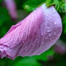 해운대 엘레지 이미지