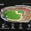 위즈엔터테인먼트 이미지