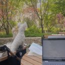 경기도 수원시 권선구 정조로 538 (세류동) 네이버블로그