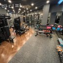 프로바디핏 이미지