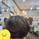 #봄헤어 이미지