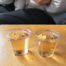 리얼타코 이미지