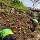 꽃내음가득 이미지