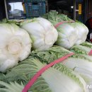 아람달 농촌체험휴양마을 이미지