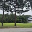 자담조경