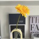 감삼동행정복지센터 회의실 이미지