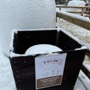 세모난나무2 | 평창 대관령 삼양라운드힐 할인입장권 날씨 평창 가볼만한곳 강원도 겨울여행 필수코스