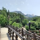 상망삼거리 | [북한산성입구-태고사-북한산대피소-대동문/북한산] 태고사를 중심으로