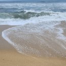 GS25 황성청우점 이미지