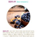 (주)삼양제넥스 이미지