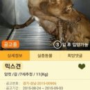호동이네