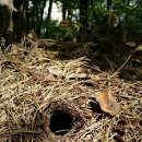 동백유치원 이미지