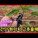 고추줄매기(고정집게) 이미지