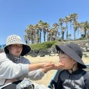 땡초김밥싱싱왕만두삼화점