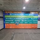 양재역 꽃집 역에서 엄청 가까운 써니드플레르