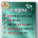 타임스크린골프 이미지