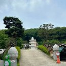 약천사 | 파주 가볼만한 곳 소원 명소 심학산 약천사 방문 후기