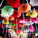 우산정보 이미지