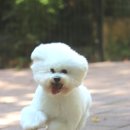 레이지 포 이미지