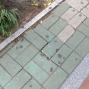 장산노인복지관 앞 이미지