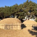 진주 상대동 고분군 이미지