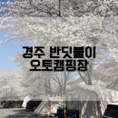 반딧불이 캠핑장 | 반딧불이 캠핑장) 경주오토캠핑장 벚꽃캠핑 수영장 짚라인 아이들 놀이시설 경북 캠핑장