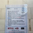 말랑블링 이미지