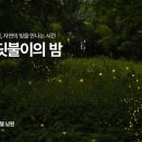 호텔 반딧불이 브릿지경제