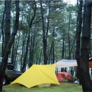 솔내음야영장 이미지