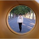 약우물터 | 충남3박4일 - 2. 공주 공산성, 마곡사, 아산 곡교천 은행나무길