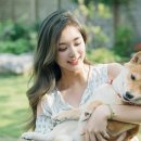다 이미지