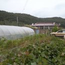 사리보건지소 이미지