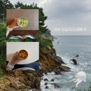 발한로(A) | [KTX] 가을 동해바다, 묵호 당일치기 여행 🧳 꽉찬 하루