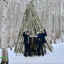 원대리 자작나무숲 이미지