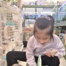 엔젤아쿠아펫가든 이미지