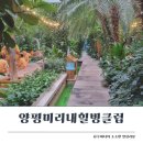 양평 미리내힐빙클럽 방문 후기 내돈내산