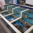 수산물백화점 이미지